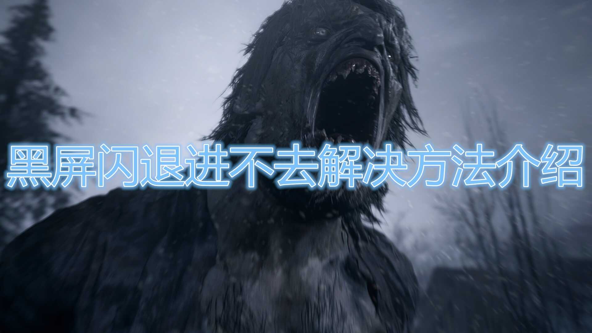 《生化危机8》黑屏闪退解决办法
