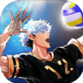 thespike排球高手全人物ios最新破解版