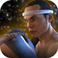 泰拳2格斗冲突汉化版