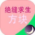 绝缝求生方块游戏