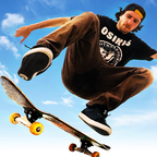 skate3手机版