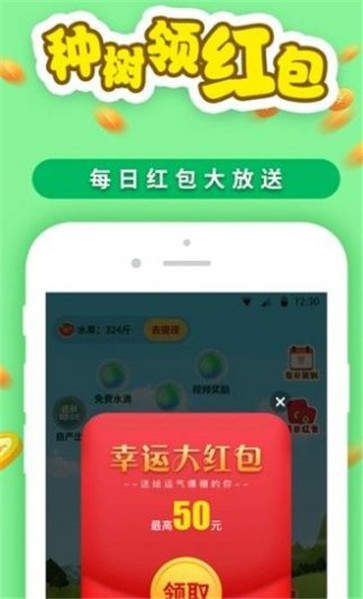 种树果园红包版