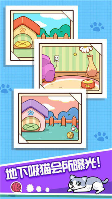 天天养大喵赚钱版