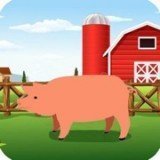 智慧猪场红包版