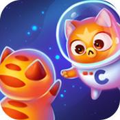 空间猫的演变