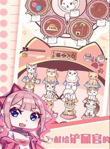 云撸猫咪