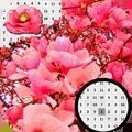 玉兰花像素艺术