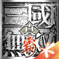 真三国无双霸官方正版