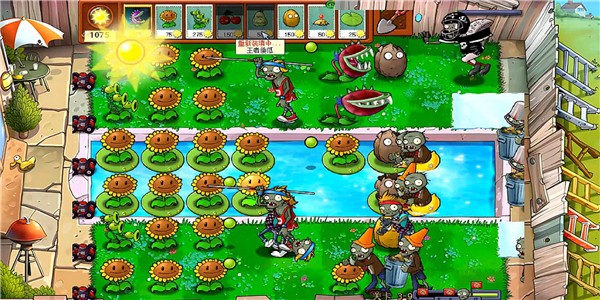 植物大战僵尸海滩版