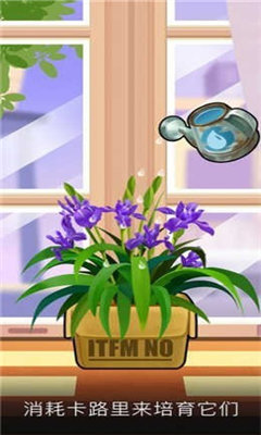 我有个花园极速红包版