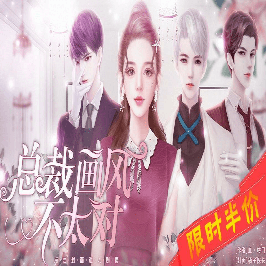 总裁画风不太对完结破解版
