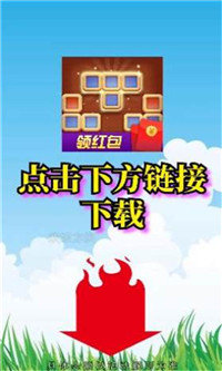 欢乐方块红包版