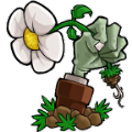 pvzlzsc游戏安卓最新版