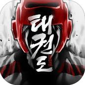 全球跆拳道大赛