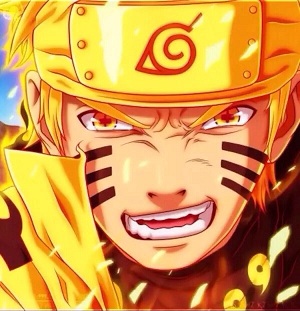 火影战记人物最多版