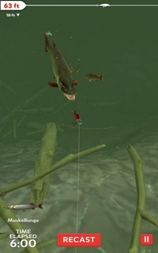 职业钓鱼的日常