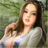 乱世神将官方版正版