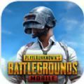 PUBG MOBILE(国际服)最新版免费下载