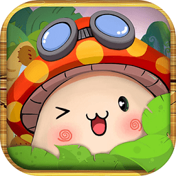 口袋枫之谷正式版