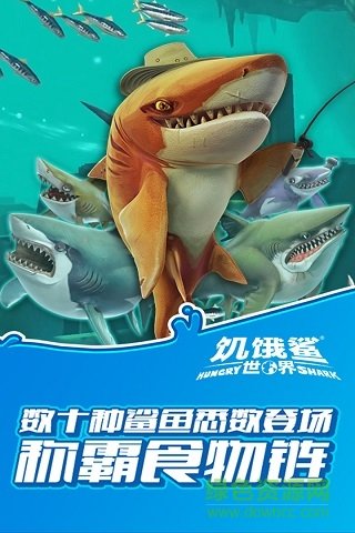 饥饿鲨世界国际服最新版本(hungry shark world)