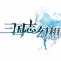三国志幻想手游九游版