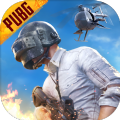 pubg mobile(国际服)手游下载安装