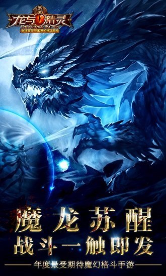 龙与精灵九游版