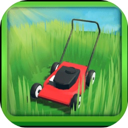 我家草坪出现了奇怪的图案  V