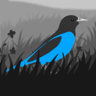 Grayland安卓版  V