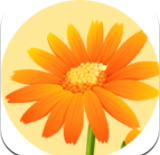 小华花圃  V