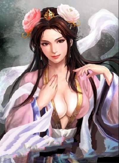 三国志13pk女武将去衣版