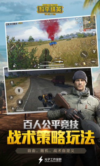 和平精英九游版