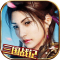 真三国战记手游九游版