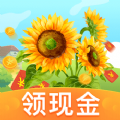小花园红包版