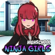 高校忍者少女格斗