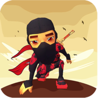 忍者武士的复仇