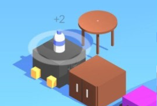 bottle flip