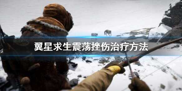 翼星求生震荡挫伤怎么办 治疗方法分享