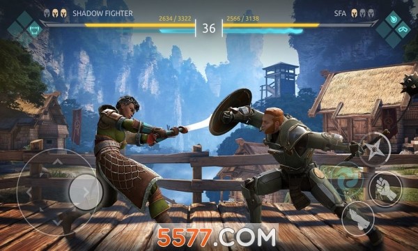 Shadow Fight Arena
