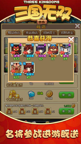 热血三国无双新版
