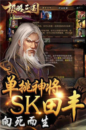 极略三国全武将版