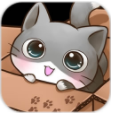 猫之家