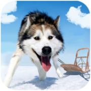 阿拉斯加雪橇模拟器