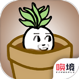 一个萝卜一个盆