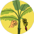 破坏热带植物