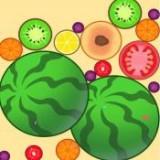 Bigwatermelon