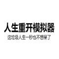 liferestart.sya游戏网页版在线玩v2.5