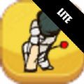 板球英雄lite游戏