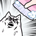 不想洗澡的猫游戏安卓版v0.1
