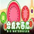 合成大西瓜Steam版游戏中文版v1.4
